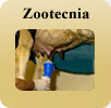 Zootecnia