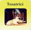 Tosatrici