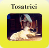 Tosatrici