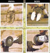 Disco abrasivo per unghioni Ø 115 mm - conf 5 pz