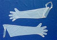 Guanti elasticizzati Glovet conf. 50 pz