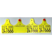 Marca FLEXOPLUS E+E ANB - nuova identificazione