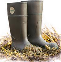 Stivali Agrilite Standard